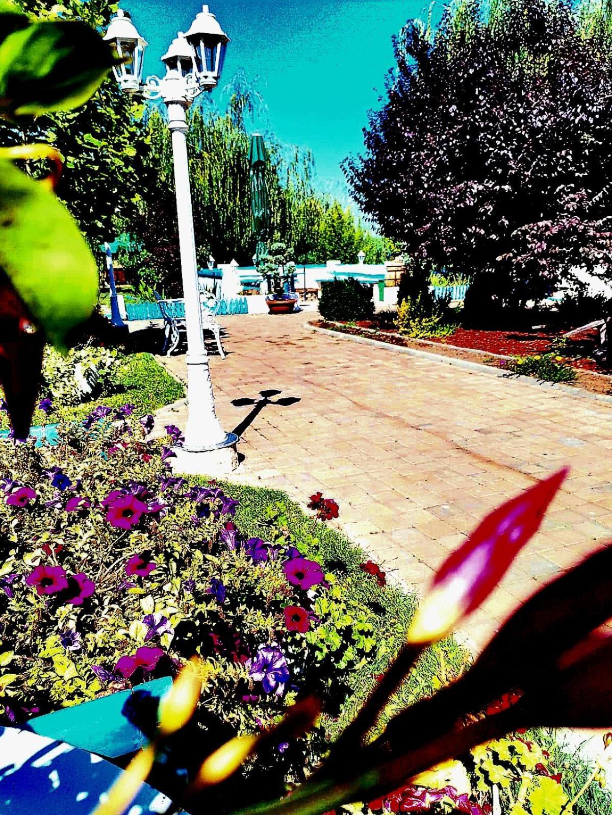 Pensiunea Prigoria Murighiol Exterior foto